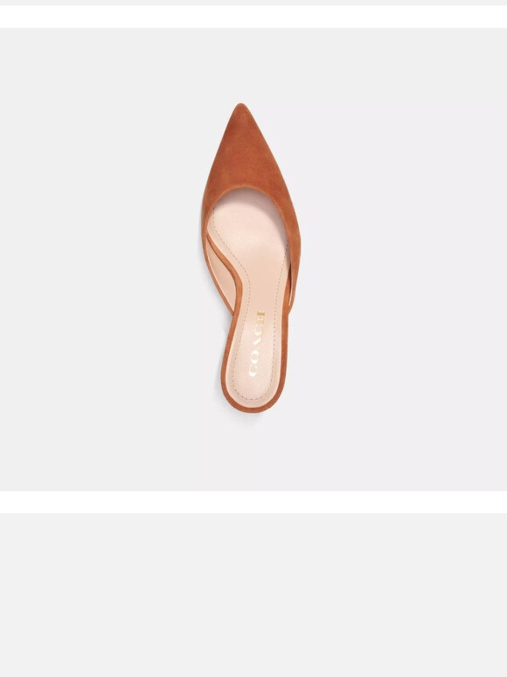 COACH Women's Pointed-Toe Mule Heels in Tan Suede - Picture 2 of 12